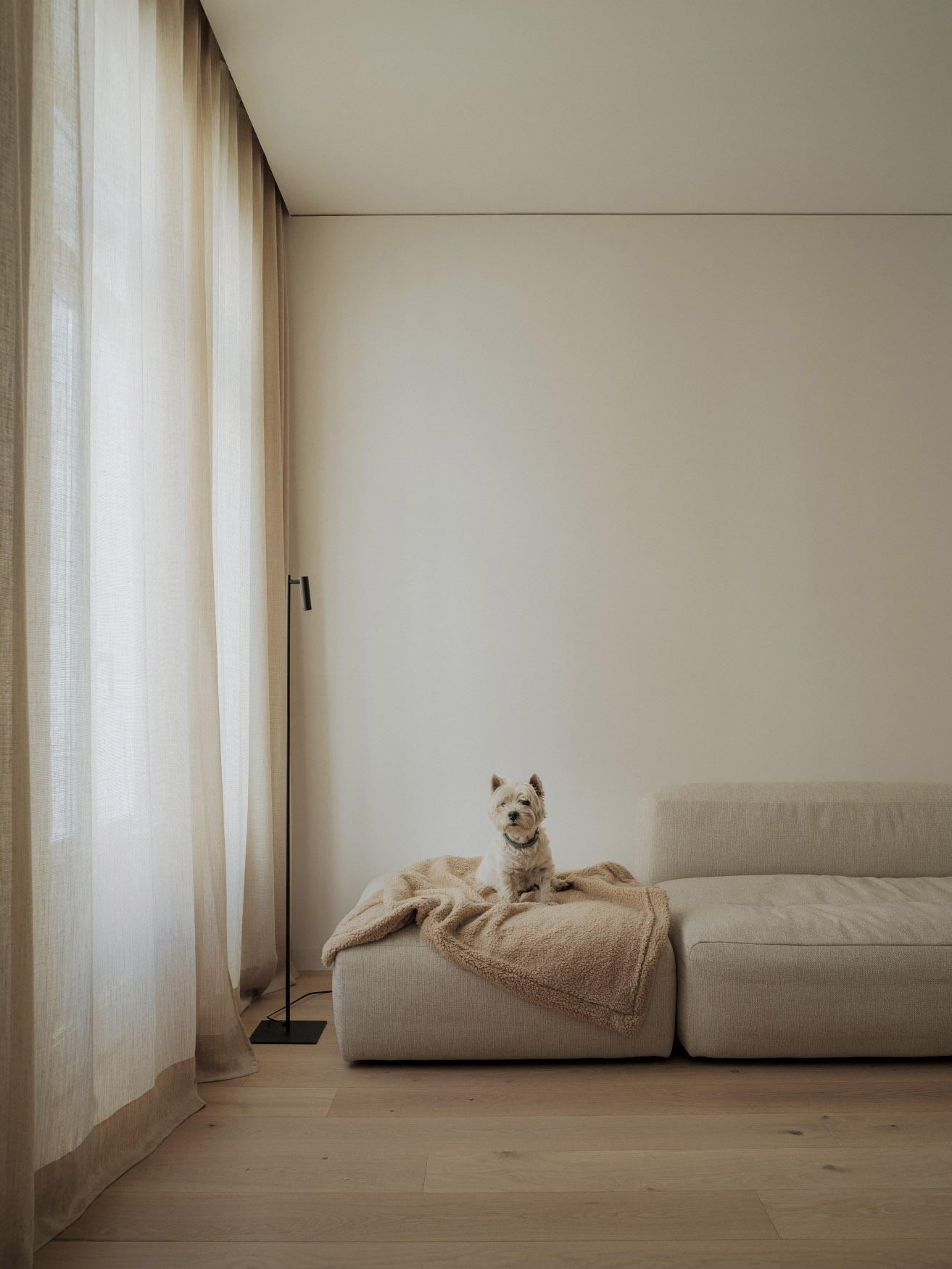 NOS Arquitectura,住宅設計,極簡主義,西班牙,住宅設計案例,巴倫西亞,極簡風格,原木色