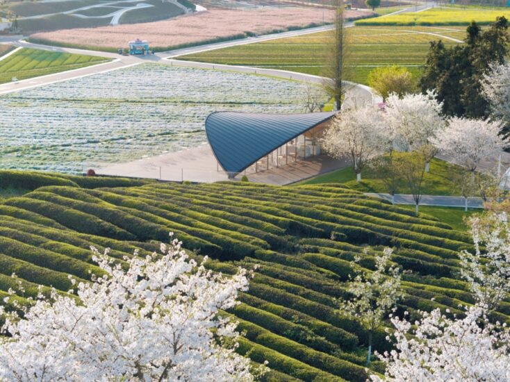 上海可方思|浙江花田美地一葉咖啡廳