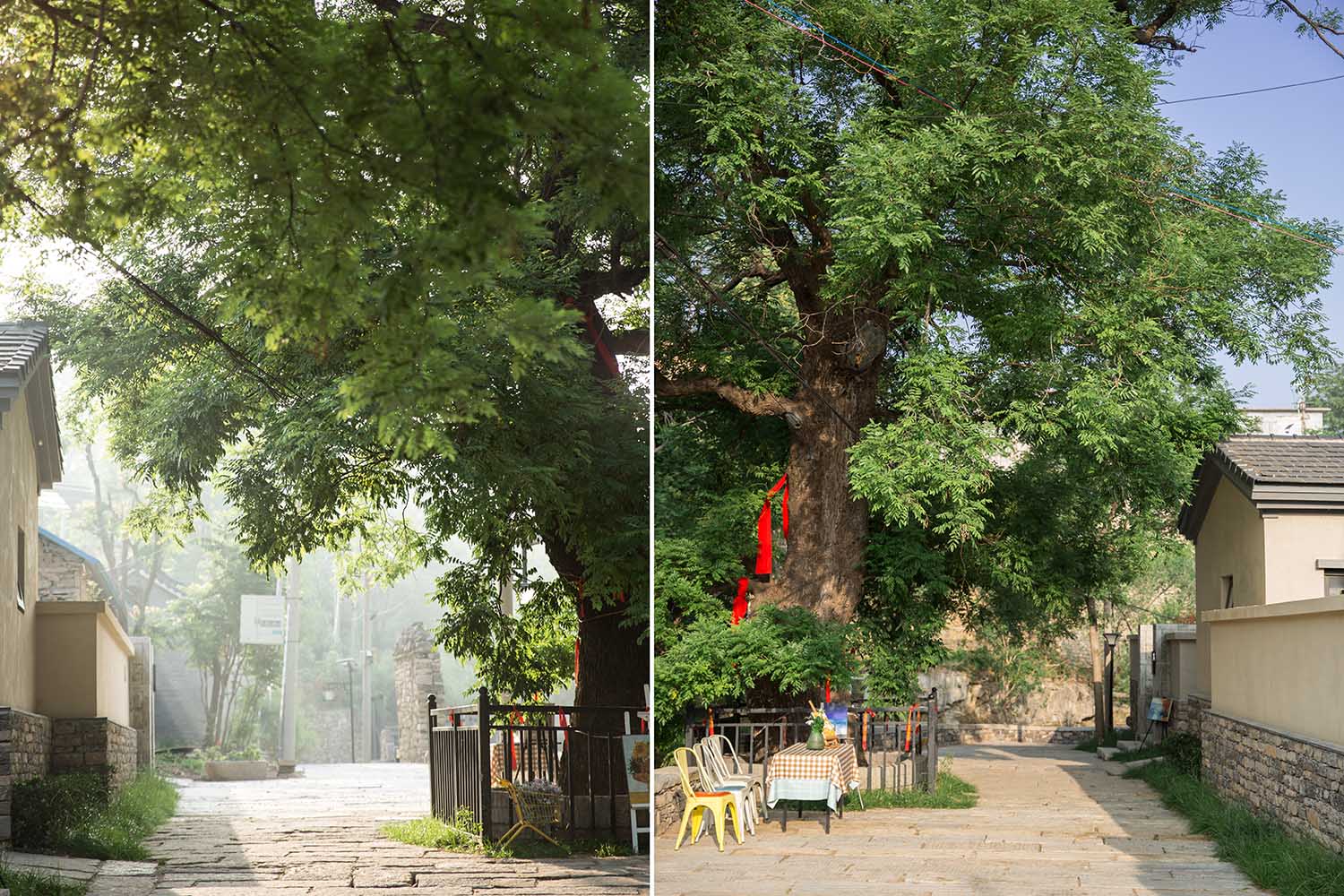 民宿設計,民宿改造設計,民宿設計案例,民宿設計方案,鄉村民宿設計,濟南東泉村民宿集群設計,濟南,CCDI卝智設計