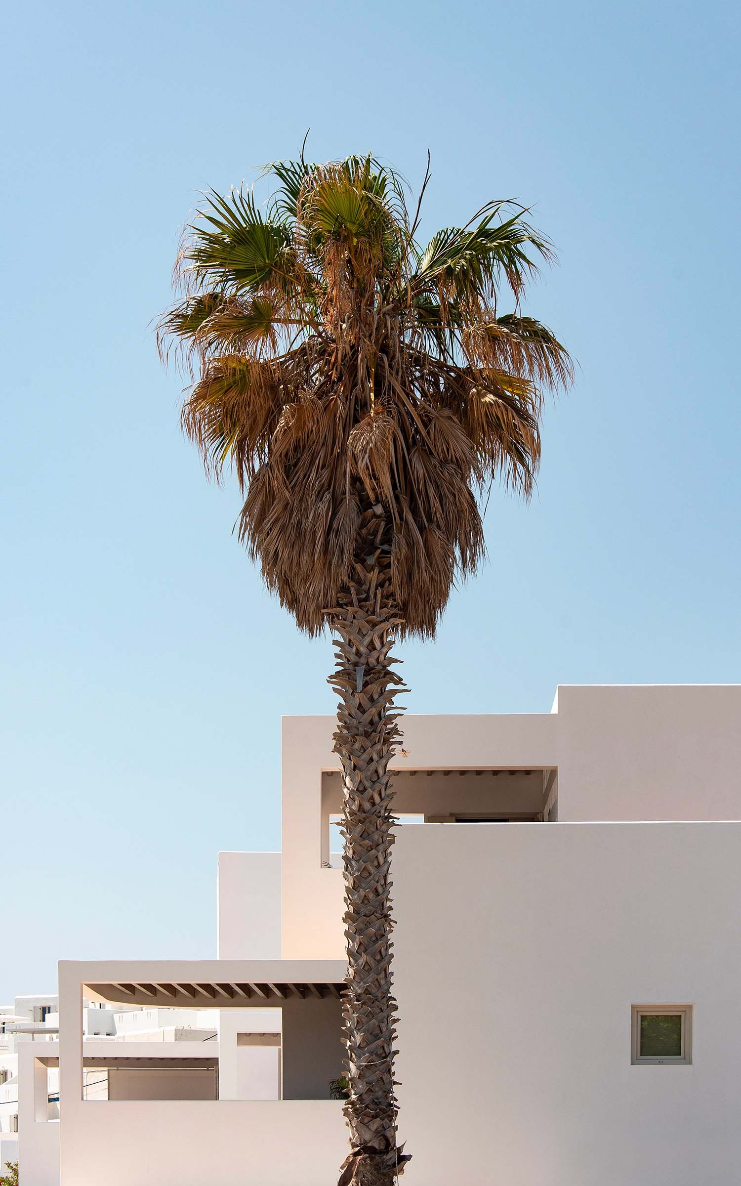 tense architecture network,酒店設計,希臘,酒店設計案例,酒店設計方案,海景度假酒店,帕羅斯,度假酒店,AVANT MAR度假酒店