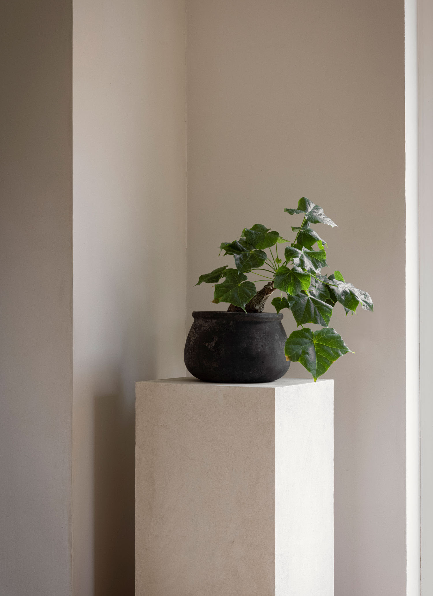 Norm Architects,住宅設計,別墅設計案例,別墅設計方案,丹麥,設計師自宅,極簡風格,別墅改造,極簡主義