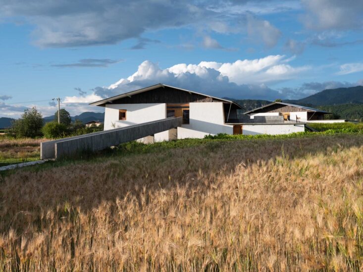 趙揚建築工作室 | 香格裏拉先鋒書店