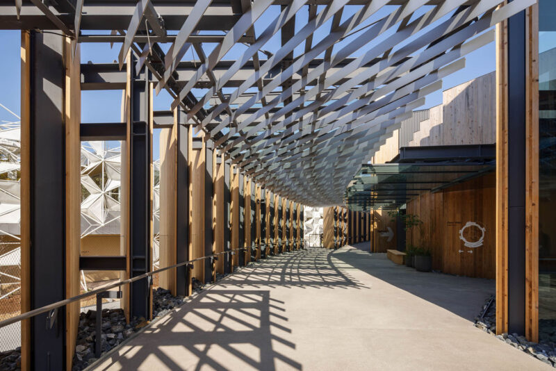 日建設計 | 2025年關西·大阪世博會日本館