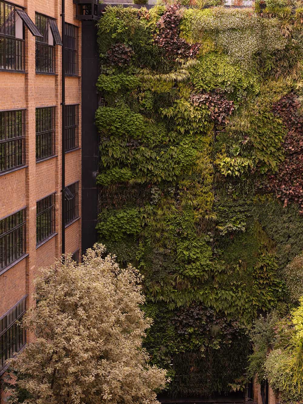 Daytrip,辦公室設計案例,辦公室設計方案,倫敦,建築改造,瑞典,辦公室設計