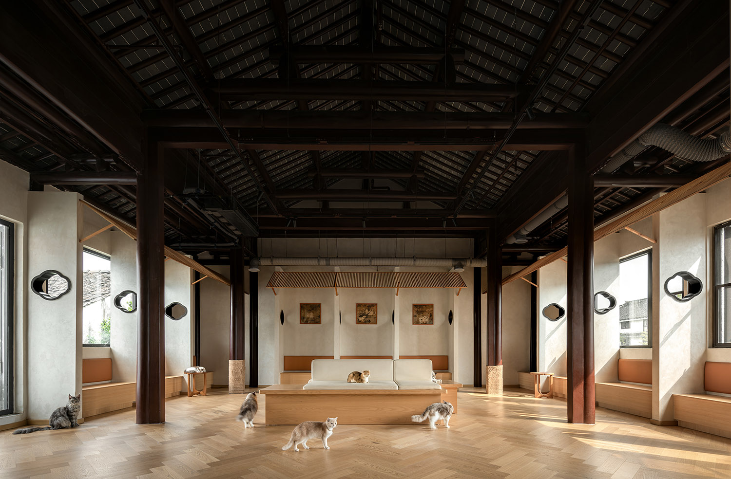 寵物店設計,寵物零售空間,人寵空間設計,商店設計,寵物店設計案例,寵物店設計方案,寵物店裝修,蘇州平江老街上的萌寵空間,平介設計,楊楠