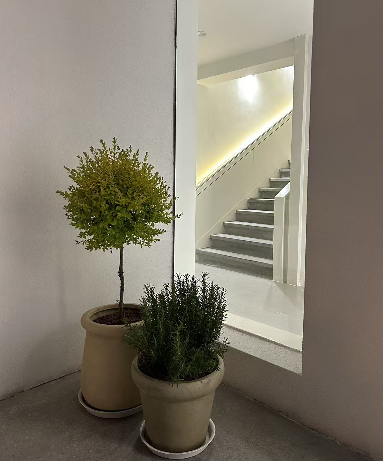 服裝店設計,服裝店設計案例,零售店設計,時裝店設計,服裝店設計方案,女裝店設計,女裝店,街邊服裝店設計,青島金和百瑞GOLDENBARRY麥島直營店,青島,UD-lab設計