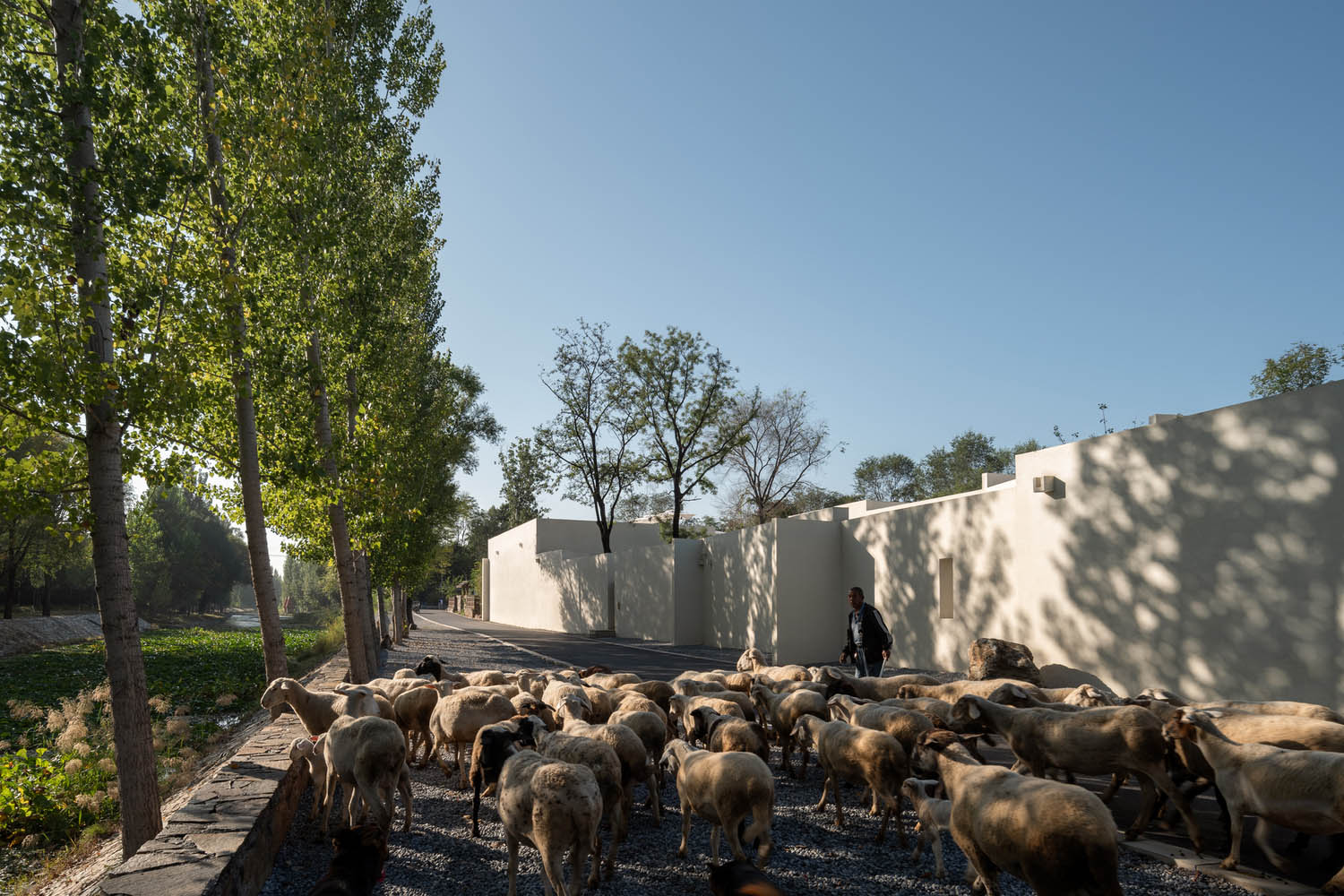 民宿設計,度假酒店設計,民宿設計案例,民宿設計方案,度假民宿,十域建築,河北,邢台和隱度假酒店,和隱度假酒店
