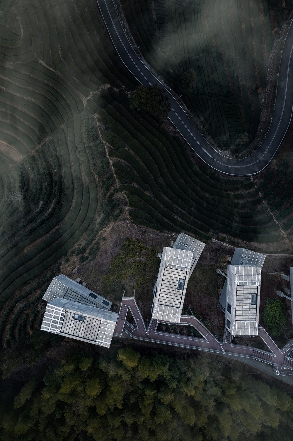 民宿設計,酒店設計,度假酒店設計,民宿酒店,麗水酒店,設計酒店,酒店設計案例,酒店設計方案,雲霧仙縣-探秘JI SEASON樂領萬畝茶海,浙江麗水,SUPER TOMATO超級番茄