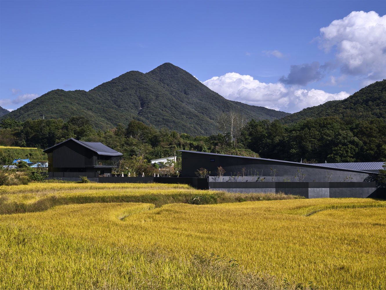 Itm Yooehwa Architects,酒店設計,韓國,民宿設計案例,民宿設計方案,度假酒店,畫廊設計,咖啡廳設計