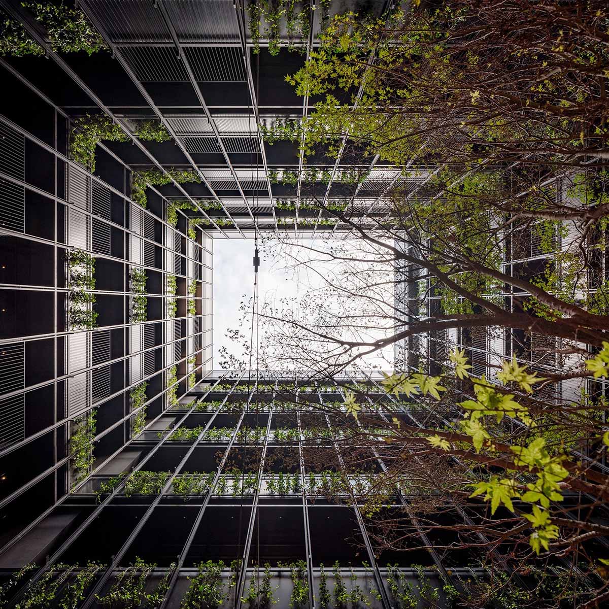 迢音·電報酒店,酒店設計,如恩設計研究室,酒店設計案例,酒店設計方案,度假酒店,格魯吉亞,第比利斯,郭錫恩,胡如珊,Neri&Hu Design and Research Office,Neri&Hu