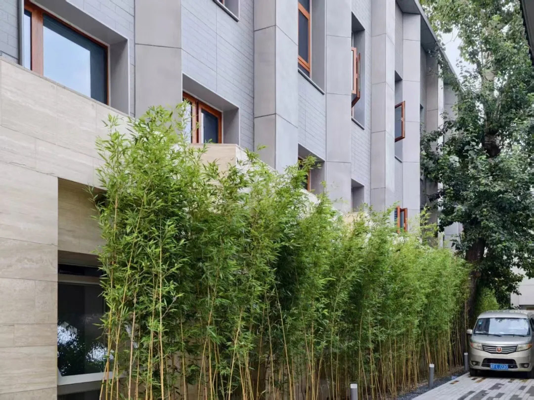 建築改造,建築立麵改造,外立麵改造,外立麵設計,園區外立麵改造,北京沙灘後街22號院建築立麵改造,北京沙灘總部商業:傳統如何穿越現代,北京,WHY Atelier