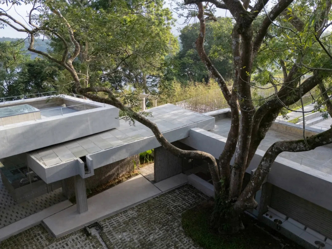 合造社建築設計事務所,公園配套建築設計,午倦宮,惠州,公園建築設計,鄉村河畔驛站,多功能空間,公共空間設計