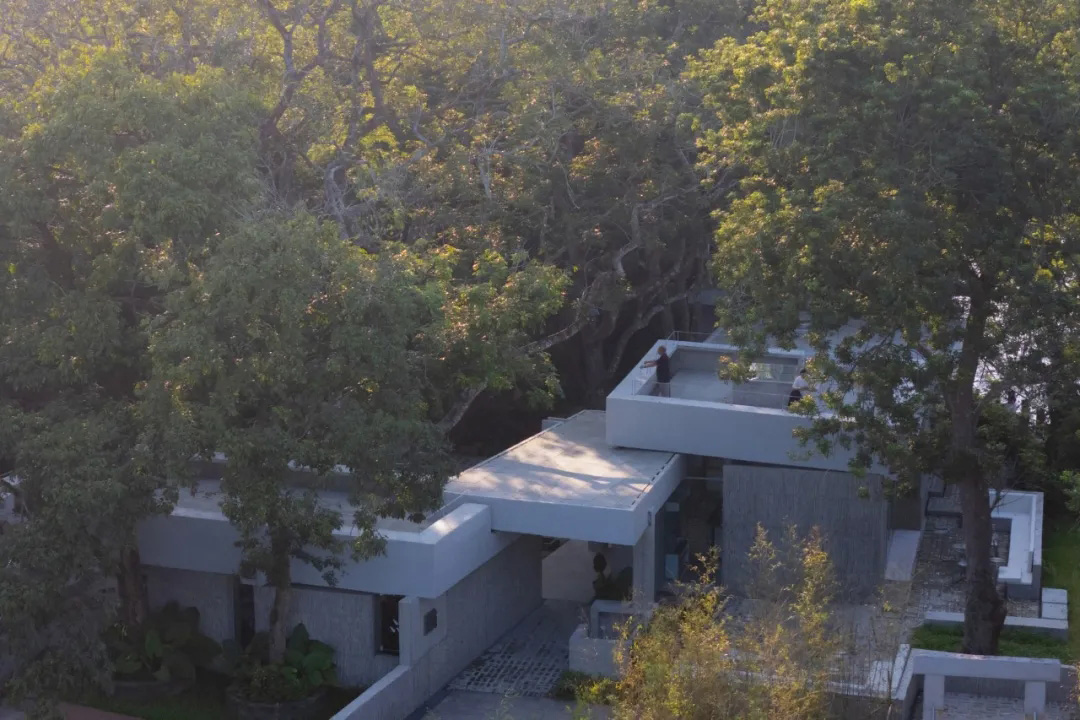 合造社建築設計事務所,公園配套建築設計,午倦宮,惠州,公園建築設計,鄉村河畔驛站,多功能空間,公共空間設計