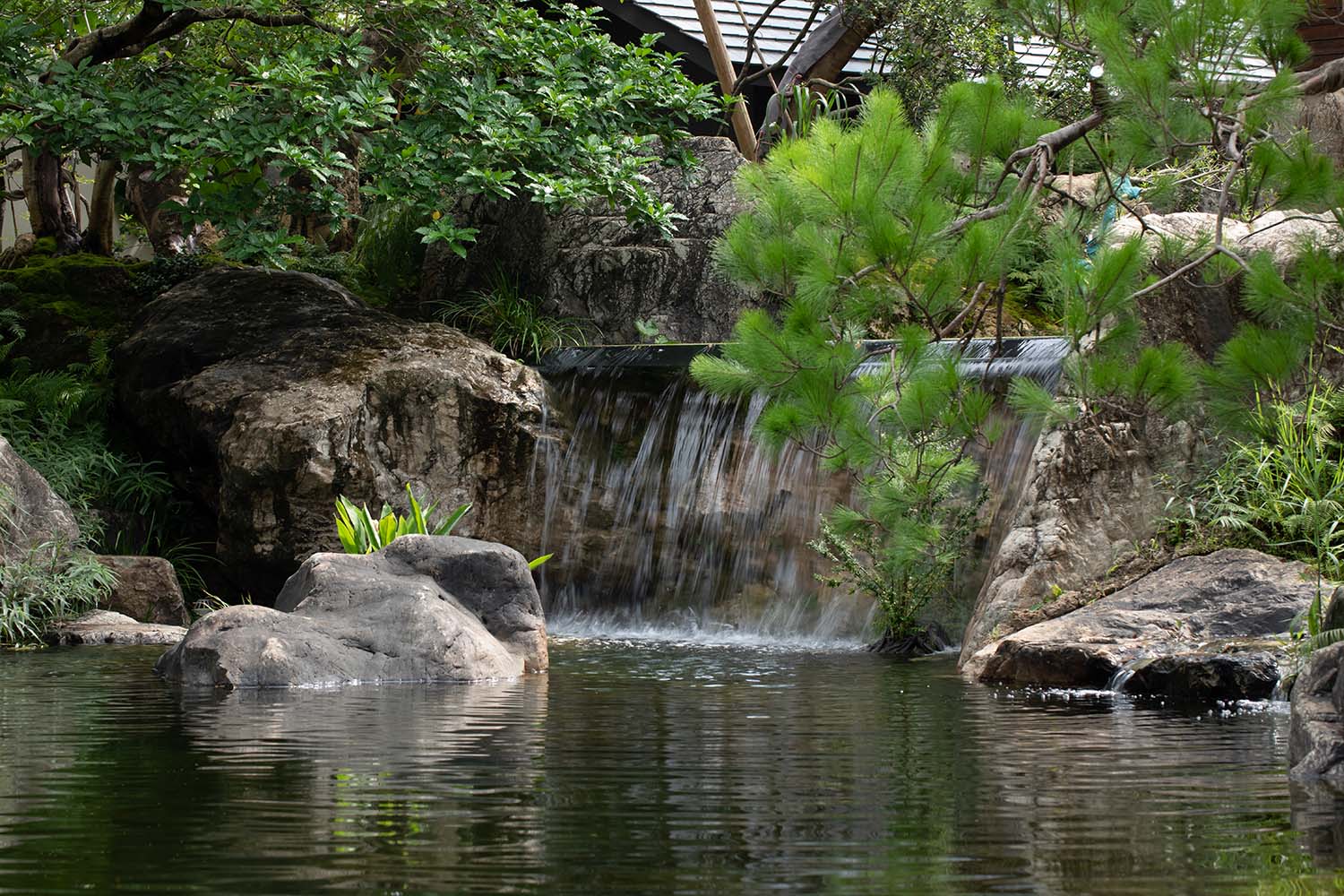 景觀庭院設計,景觀設計,植物景觀銷售基地,植物景觀庭院設計,花園庭院設計,老建築改造,佛山宋嶼庭園,佛山,陸啟水建築師事務所