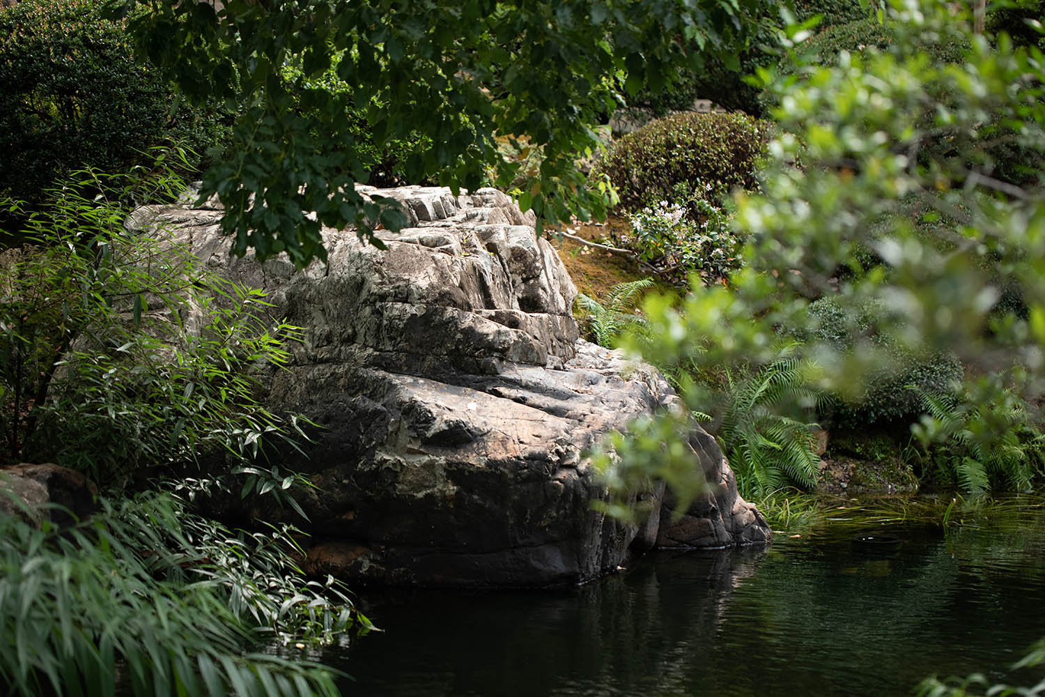 景觀庭院設計,景觀設計,植物景觀銷售基地,植物景觀庭院設計,花園庭院設計,老建築改造,佛山宋嶼庭園,佛山,陸啟水建築師事務所