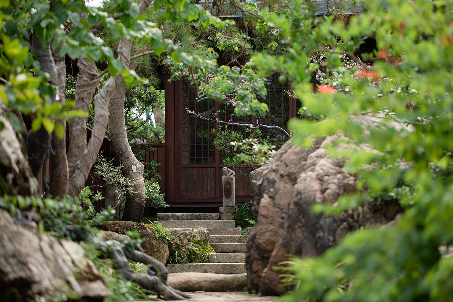 景觀庭院設計,景觀設計,植物景觀銷售基地,植物景觀庭院設計,花園庭院設計,老建築改造,佛山宋嶼庭園,佛山,陸啟水建築師事務所