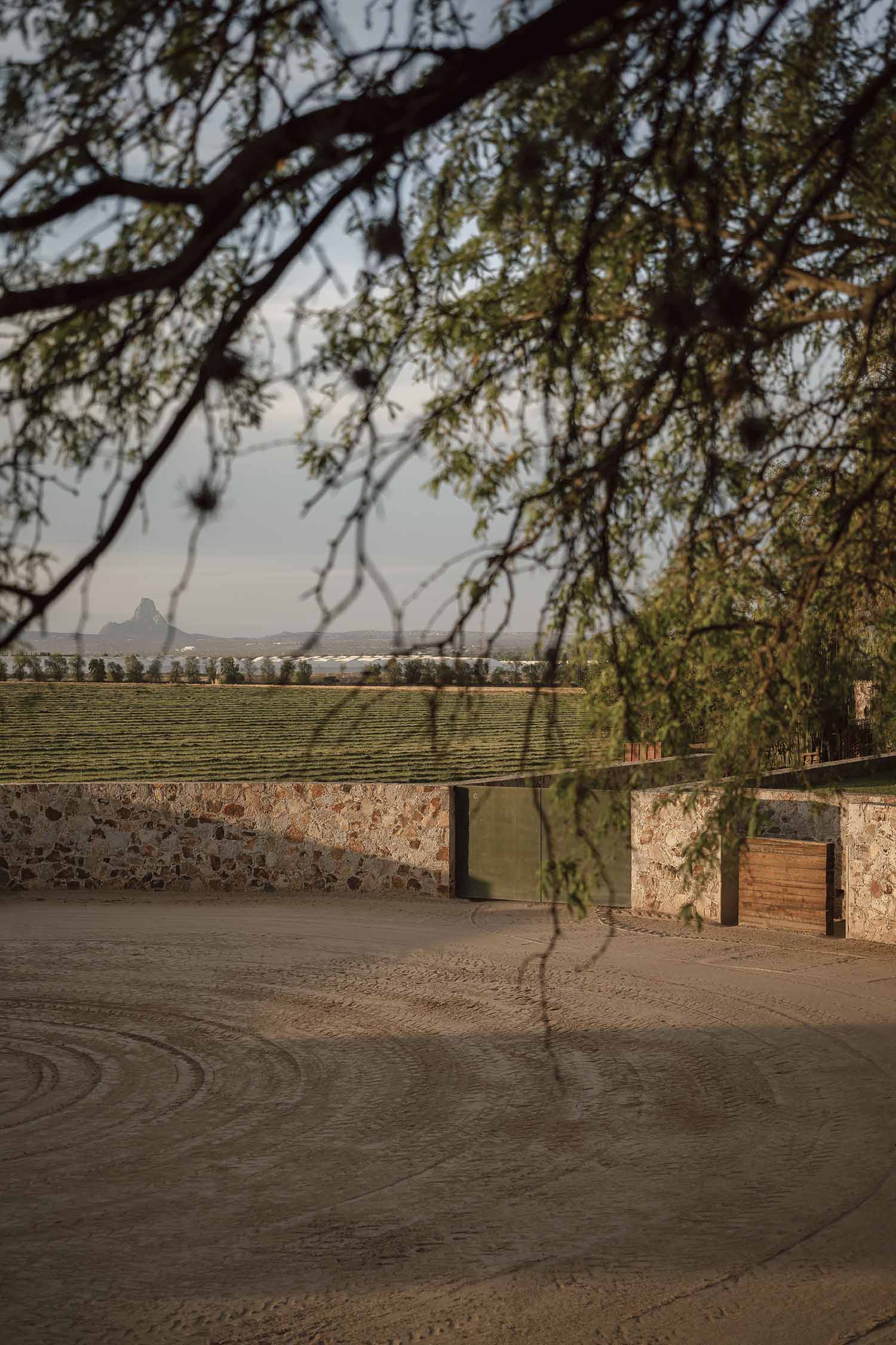 Cosmos,馬場設計,墨西哥,馬術訓練場設計案例,極簡主義,極簡風格