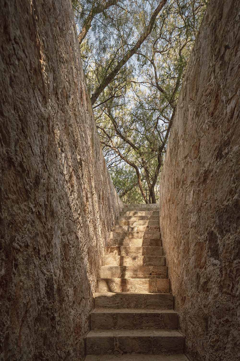 Cosmos,馬場設計,墨西哥,馬術訓練場設計案例,極簡主義,極簡風格