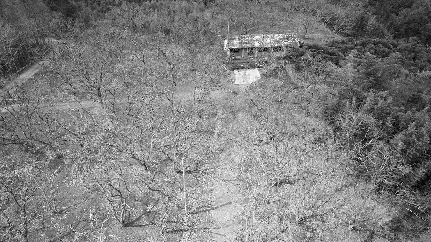 建築改造,度假區茶室設計,戶外茶室設計,景點茶室設計,茶室設計案例,茶室設計方案,湖州莫幹山高峰禪寺下的栗林小院—激發鄉村閑置資源新活力,湖州莫幹山,平介設計,楊楠