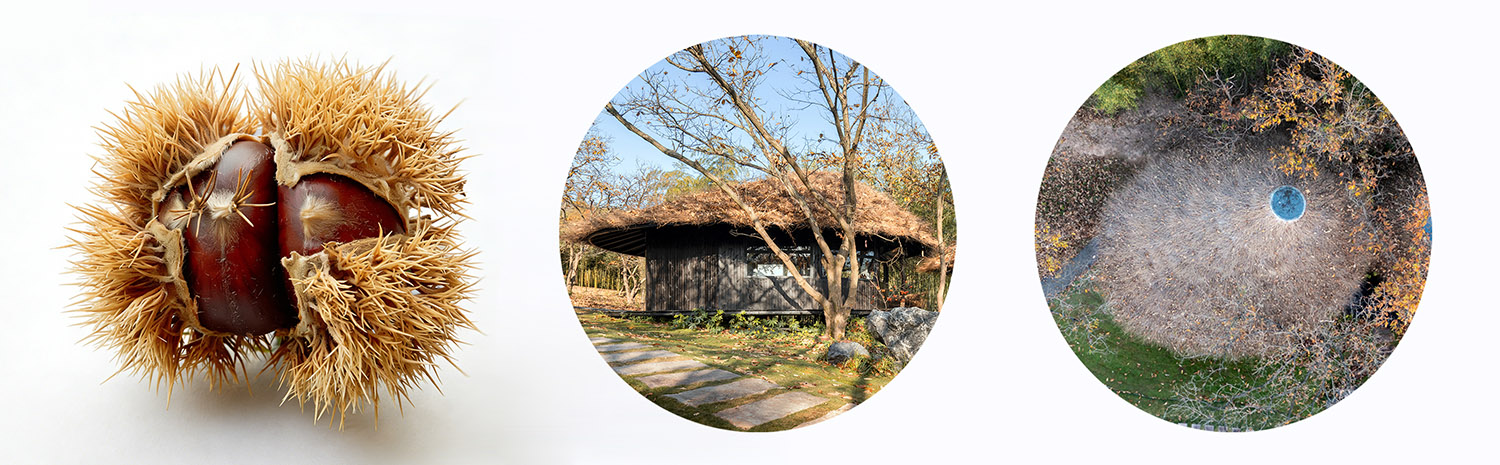 建築改造,度假區茶室設計,戶外茶室設計,景點茶室設計,茶室設計案例,茶室設計方案,湖州莫幹山高峰禪寺下的栗林小院—激發鄉村閑置資源新活力,湖州莫幹山,平介設計,楊楠