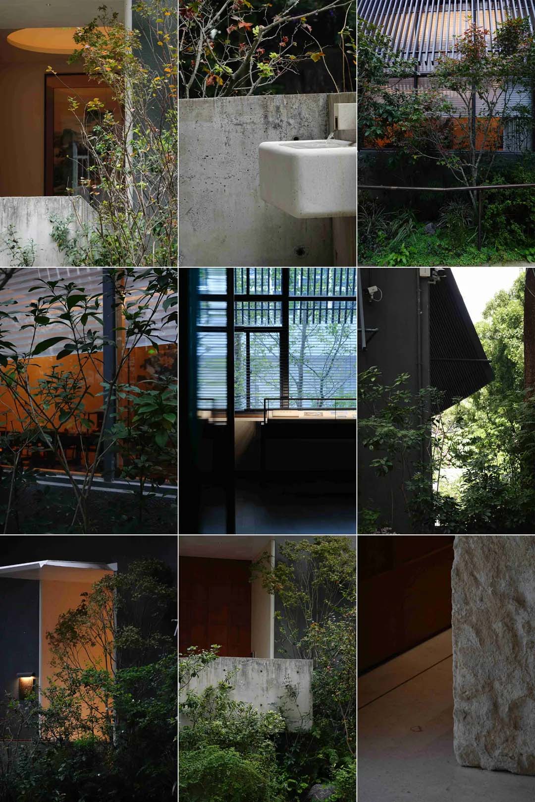 酒窖設計,建築改造,景觀設計,深圳國王酒窖茅台鑒藏館,深圳,國王酒窖,茅台鑒藏館,茅台酒窖,BloomDesign綻放設計