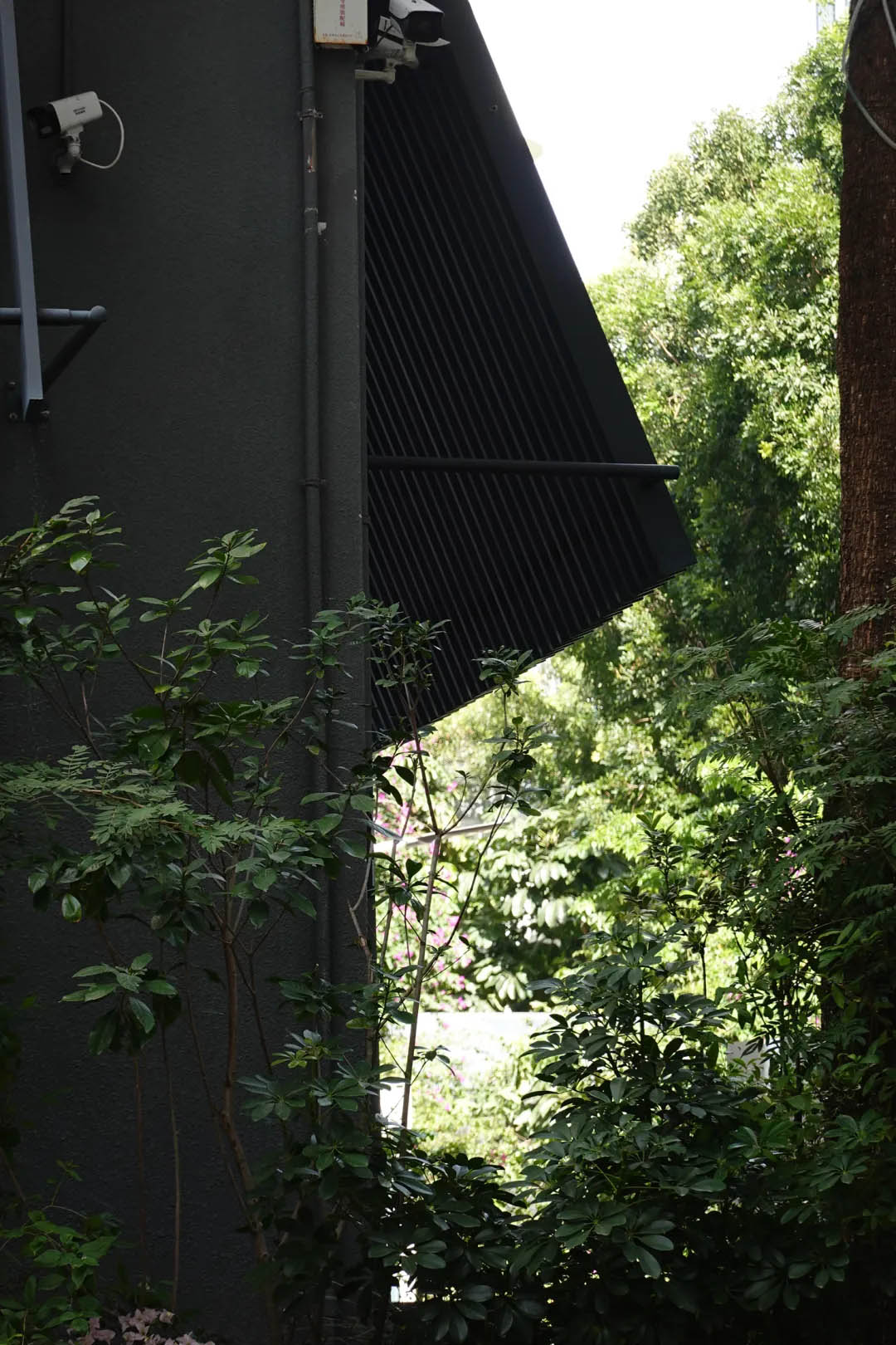 酒窖設計,建築改造,景觀設計,深圳國王酒窖茅台鑒藏館,深圳,國王酒窖,茅台鑒藏館,茅台酒窖,BloomDesign綻放設計