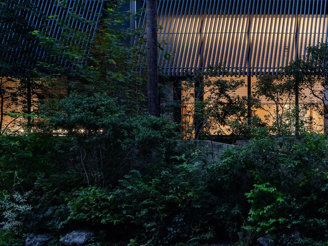 酒窖設計,建築改造,景觀設計,深圳國王酒窖茅台鑒藏館,深圳,國王酒窖,茅台鑒藏館,茅台酒窖,BloomDesign綻放設計