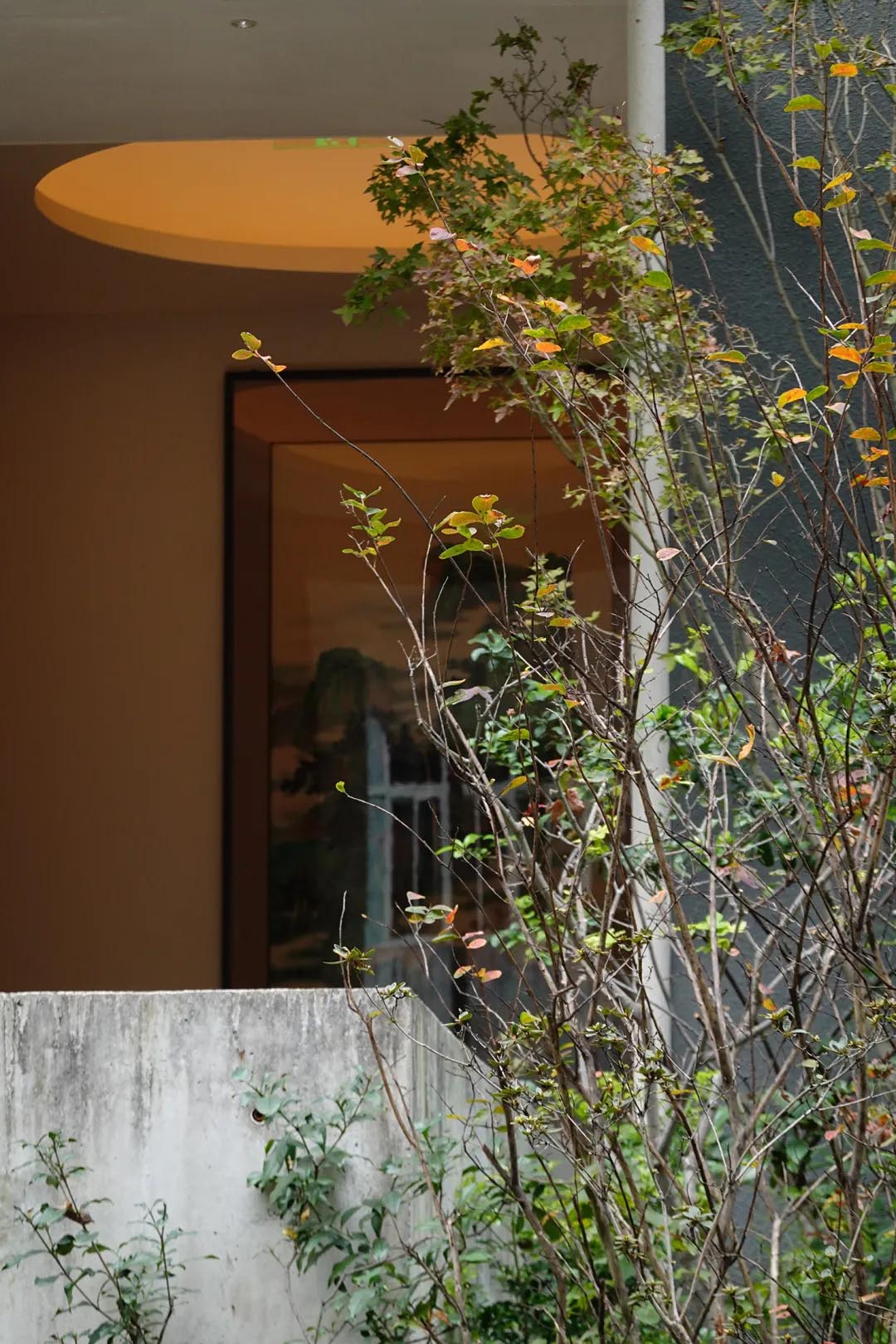 酒窖設計,建築改造,景觀設計,深圳國王酒窖茅台鑒藏館,深圳,國王酒窖,茅台鑒藏館,茅台酒窖,BloomDesign綻放設計