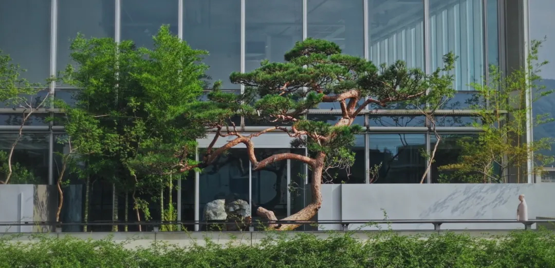 茶飲店設計,茶空間設計,東方美學茶飲店,茶室設計,茶飲店設計案例,茶飲店設計方案,東方美學主題茶飲店,杭州天目裏青竺茶局,杭州,山山園林